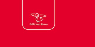 Democrazie in affanno: Yves Mény analizza fragilità, derive e prospettive nel suo nuovo saggio fragilità democrazia libro