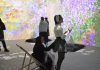 Arte immersiva, boom globale: entro il 2033 il mercato varrà 15 miliardi di dollari monet the immersive experience