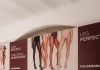 Calzedonia lancia il collant “Invisible Make Up Effect”: la primavera si accende di naturalezza primavera calzedonia 2026