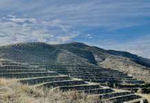 Albania, Çobo Winery punta alla promozione del territorio e alla qualità dei vini da vitigni autoctoni