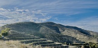 Albania, Çobo Winery punta alla promozione del territorio e alla qualità dei vini da vitigni autoctoni