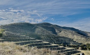 Albania, Çobo Winery punta alla promozione del territorio e alla qualità dei vini da vitigni autoctoni