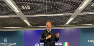 Vinitaly, Giansanti: “Necessarie misure anti-crisi a tutela del settore vino”