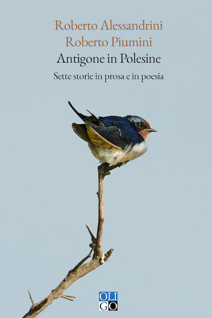 antigone in polesine libro