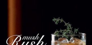 Mush Rush, il nuovo cocktail Bauer: la ricetta mush rush