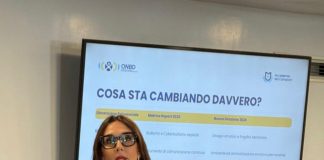Bullismo e cyberbullismo in crescita nelle scuole italiane, parla Elisa Caponetti