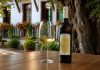 I vini bianchi di Çobo Winery: tra il respiro dell’Adriatico e le colline di Berat, l’anima autentica dell’Albania