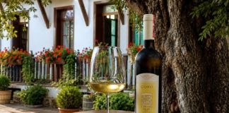 I vini bianchi di Çobo Winery: tra il respiro dell’Adriatico e le colline di Berat, l’anima autentica dell’Albania