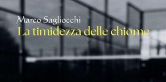 “La timidezza delle chiome”, l’ultimo romanzo di Marco Sagliocchi