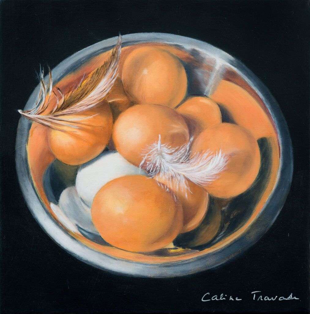 des oeufs et des plumes