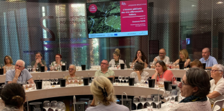 Bollicine fuori dagli schemi: i vini di The Wine Net conquistano la Cité du Vin di Bordeaux