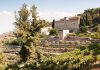 Vini d’Abbazia 2026: a Fossanova incontri, masterclass e una mostra raccontano il vino attraverso la spiritualità, la ricerca e l’arte contemporanea