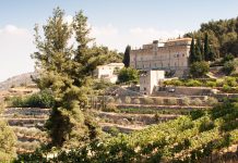 Vini d’Abbazia 2026: a Fossanova incontri, masterclass e una mostra raccontano il vino attraverso la spiritualità, la ricerca e l’arte contemporanea