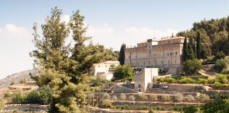 Vini d’Abbazia 2026: a Fossanova incontri, masterclass e una mostra raccontano il vino attraverso la spiritualità, la ricerca e l’arte contemporanea