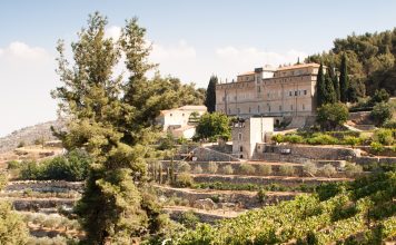 Vini d’Abbazia 2026: a Fossanova incontri, masterclass e una mostra raccontano il vino attraverso la spiritualità, la ricerca e l’arte contemporanea