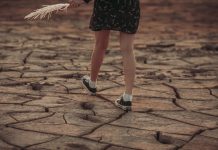 Giornata mondiale contro siccità, i 10 consigli per contrastarla