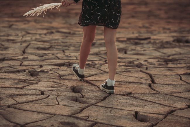 giornata mondiale contro siccit224 i 10 consigli per contrastarla da Lopinionista.it giornata mondiale contro siccit224 i 10 consigli per contrastarla