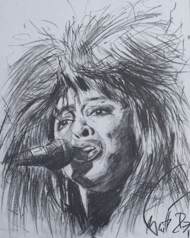 queen of rock and roll tina turner