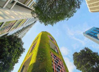 Rigenerazione urbana, mercato in crescita del 40% entro il 2034 rigenerazione urbana