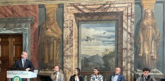 A Roma il convegno “Xylella fastidiosa. Resilienza, ricerca e innovazione in agricoltura”