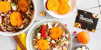 Insalata estiva di cavolo cappuccio e radicchio con albicocche insalata di cappuccio radicchio con albicocche grigliate
