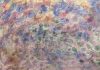 L’universo floreale di Christine Toda, per sottolineare la connessione tra natura e anima shapes pigmenti fatti a mano