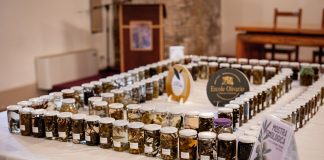 Ercole Olivario Pop a Roma per l’inaugurazione di Vinòforum con le migliori Olive da Tavola d’Italia