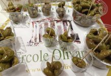 Aperte le iscrizioni alla VI edizione di “Ercole Olivario – Sezione Olive da Tavola”
