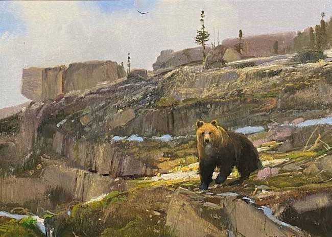 high country grizzly