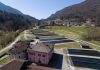 Acquacoltura e caldo, l’Api chiede interventi per superare l’emergenza