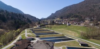 Acquacoltura e caldo, l’Api chiede interventi per superare l’emergenza