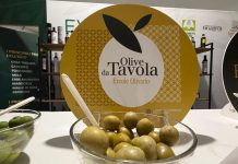Olive da mensa e patè, ultimi giorni per candidarsi all’Ercole Olivario 2026: scadenza il 27 ottobre