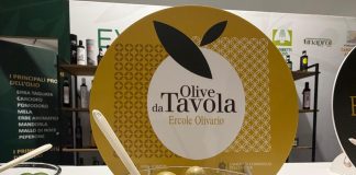 Olive da mensa e patè, ultimi giorni per candidarsi all’Ercole Olivario 2026: scadenza il 27 ottobre