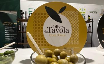 Olive da mensa e patè, ultimi giorni per candidarsi all’Ercole Olivario 2026: scadenza il 27 ottobre