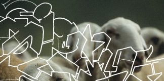 “Zarathustra Style”, il nuovo progetto discografico di Fabri Fibra e Neffa